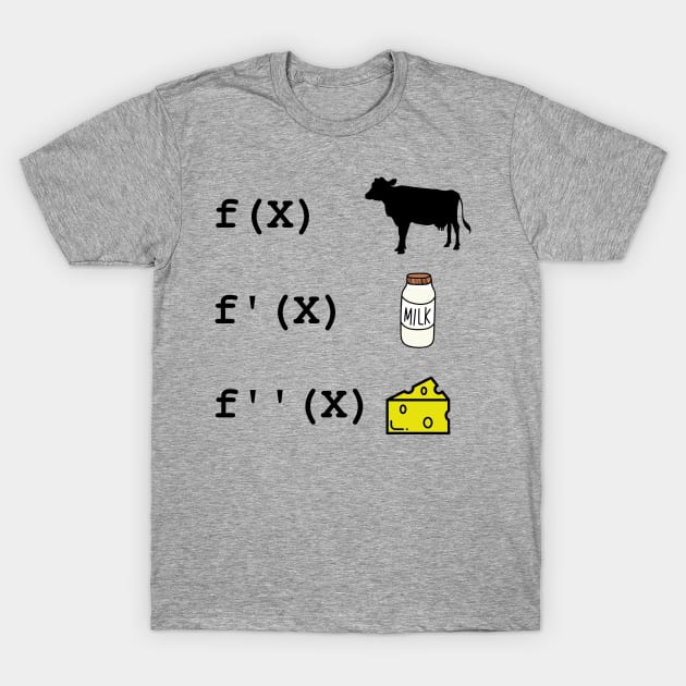 Funny calculus shirts cheap